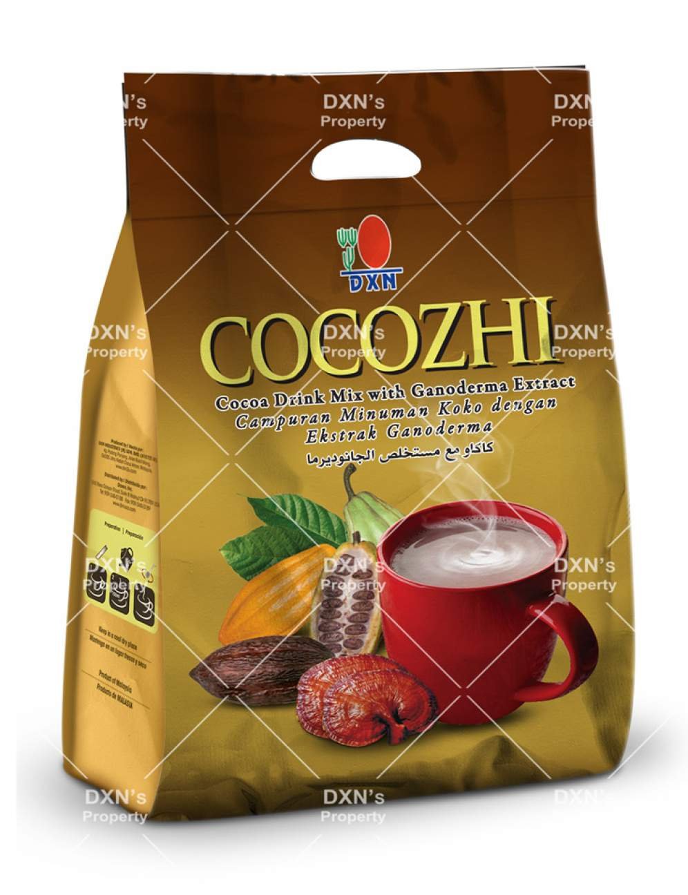 Cocozhi