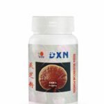 DXN Reishi Mushroom Powder-22g