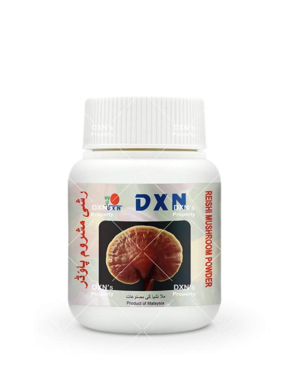 HF041_PK_PK001 DXN Reishi Mushroom Powder – 70g - Image 1